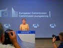 La Corte di giustizia europea non perdona Apple e Google (ANSA)