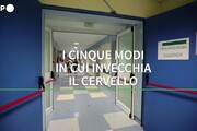 I cinque modi in cui invecchia il cervello