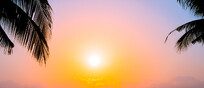 Il solstizio d’estate 2024 scatta alle 22,51 italiane del 20 giugno (fonte: Freepik)