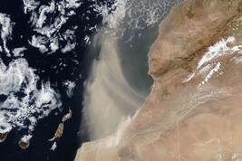 La polvere del Sahara trasportata dai venti verso l’Atlantico nell’estate 2024 (fonte: Lauren Dauphin, NASA Earth Observatory)