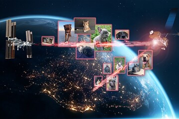 Centinaia di foto e video di animali domestici inviate nello spazio via laser (fonte: NASA/Dave Ryan)