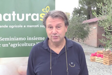 Agricoltura, la 'ricetta' del professore: 'Semi bio adatti a cambio clima'