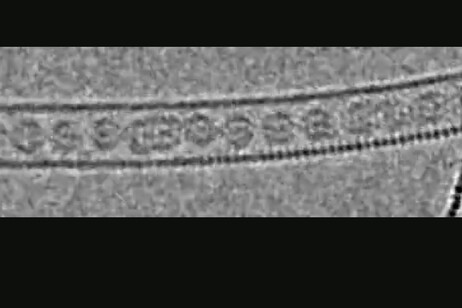 Fotografati per la prima volta atomi di un gas di kripton (fonte: University of Nottingham)