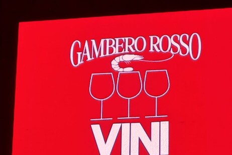 Presentata a Roma dal Gambero Rosso la Guida dei vini d'Italia 2025 (fonte: Gambero Rosso)