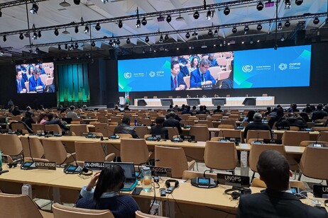 L'assemblea plenaria della Cop29 di Baku