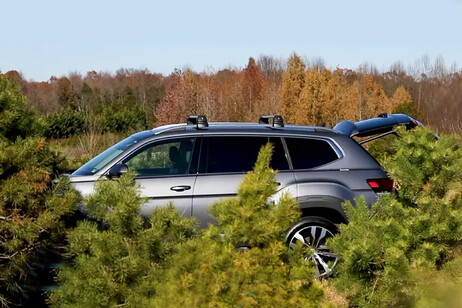 Albero di Natale, come trasportarlo in auto senza stress