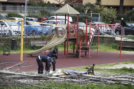 Cade un albero a Roma, morta una donn