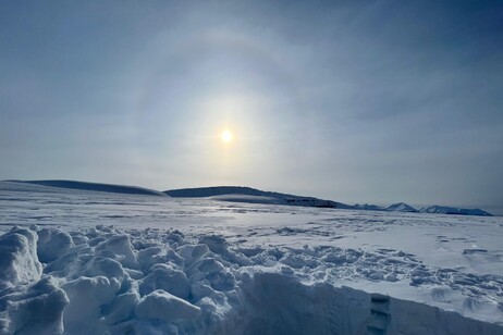 Il sito di campionamento dall’interno della trincea scavata per prelevare i campioni presso il ghiacciaio dell’Holtedahlfonna, nelle isole Svalbard (fonte: Federico Scoto, CNR-ISP)