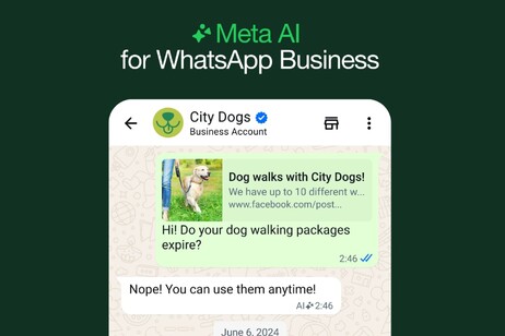 Chatbot e assistenza, Meta porta l'IA in WhatsApp Business