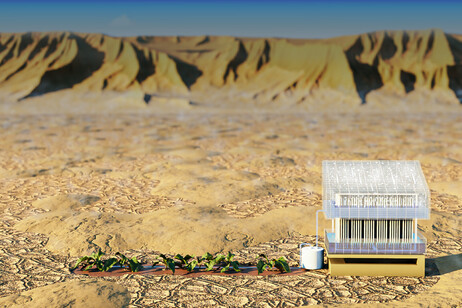 Un raccoglitore d'acqua a energia solare (fonte: 2024KAUST; Heno Hwang)