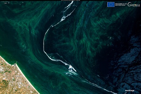 La scia biancastra indica la mucillagine nel mare Afriatico vista dai satelliti (fonte: European Union, Copernicus Sentinel-2 imagery)