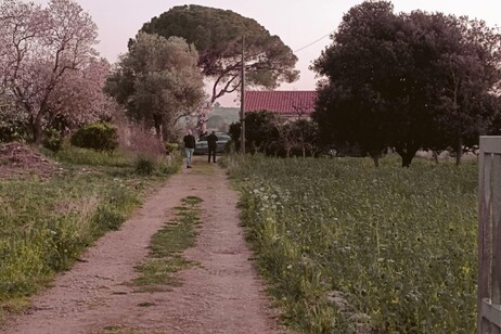 Giallo nelle campagne di Sassari, 78enne trovato morto in casa