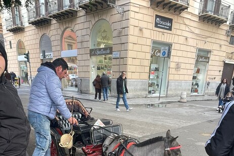 Rizzi, piccola carrozza trainata da pony a Palermo