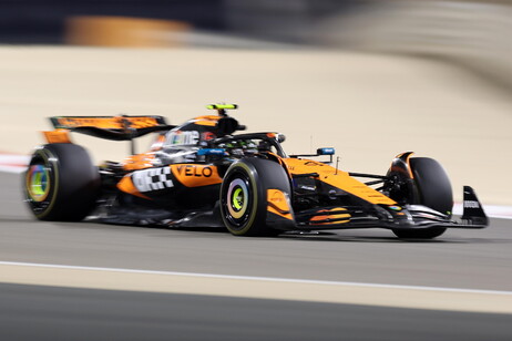 La Mclaren di Norris