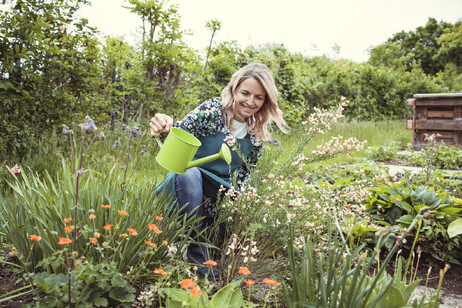 Una donna innaffia un giardino fiorito foto iStock.