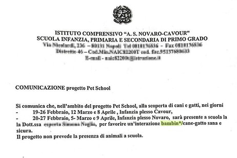 Bambin* sul documento della scuola, 'è un refuso'