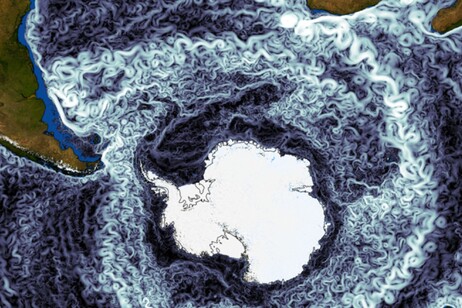 Rappresentazione grafica della Corrente Circumpolare Antartica (fonte: Alfred Wegener Institute)