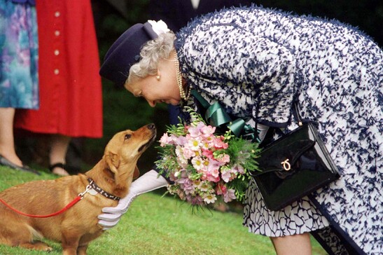 Foto d'archivio del 20 maggio 1998 mostra la regina Elisabetta con uno dei suoi Corgi