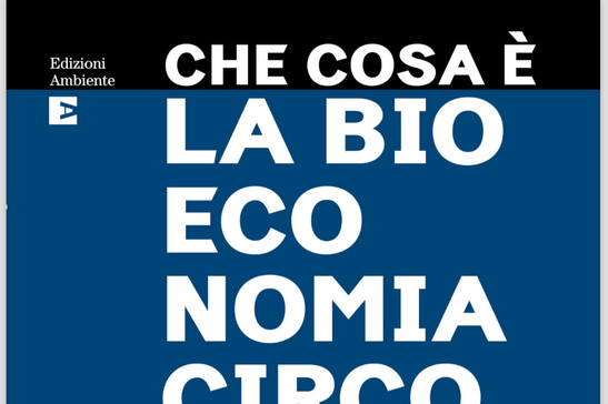 Il libro 'Che cosa è la bioeconomia circolare' di Mario Bonaccorso (Edizioni Ambiente, 280 pagine, 19 euro)