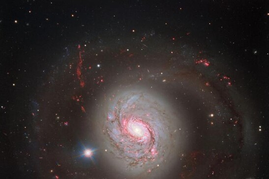 La galassia a spirale NGC 1086 fotografata dal Very Large Telescope (fonte: ESO)