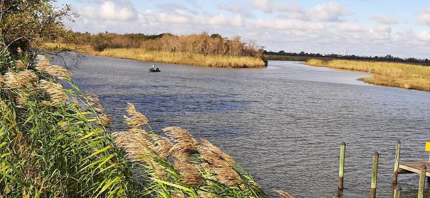 Lo splendido scenario naturale del palco del delta a Mobile in Alabama - RIPRODUZIONE RISERVATA