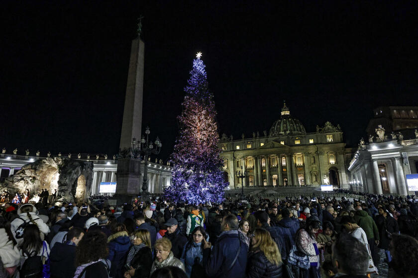 Nativity Scene and Christmas Tree in St Peter 's Square - ALL RIGHTS RESERVED