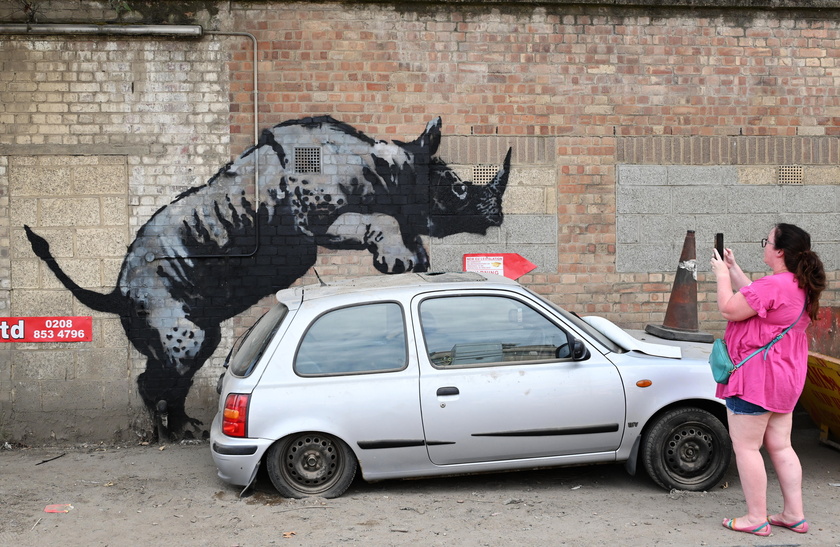 Banksy unveils eighth animal-themed artwork in Charlton