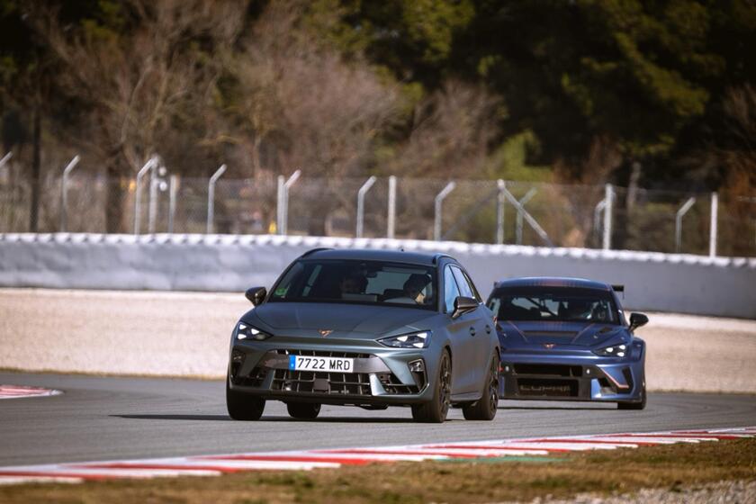 Nuove Cupra Leon VZ e TCR