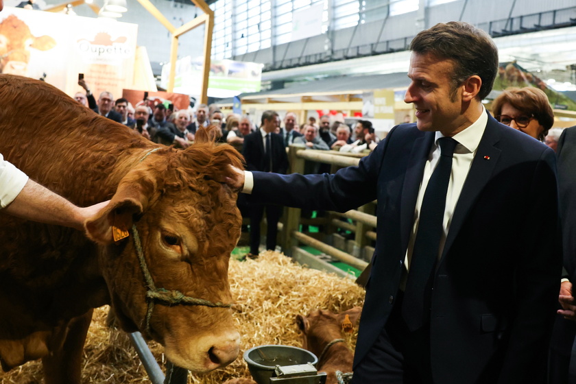 Opening of the annual agricultural fair in Paris