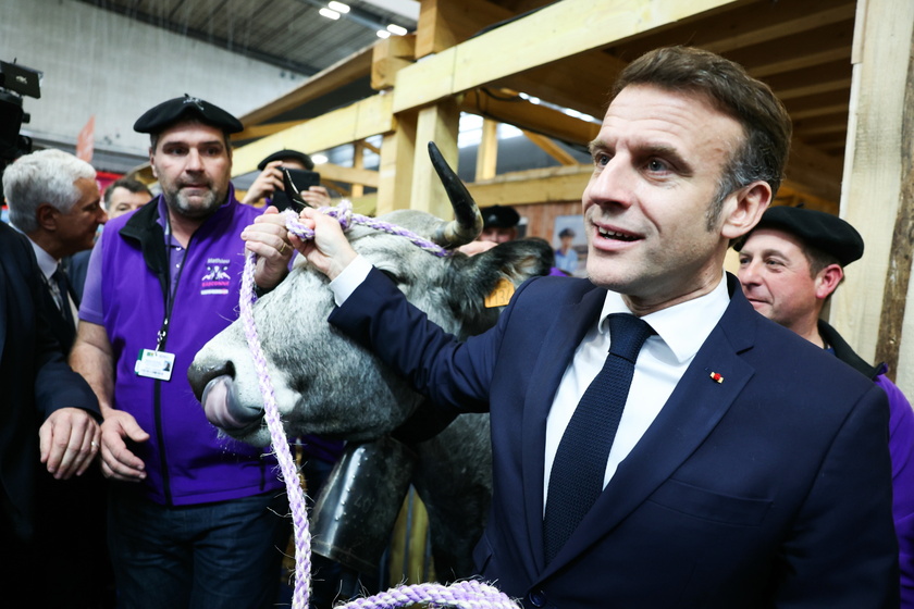 Opening of the annual agricultural fair in Paris