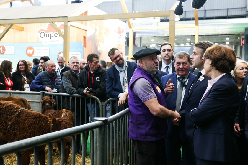 Opening of the annual agricultural fair in Paris