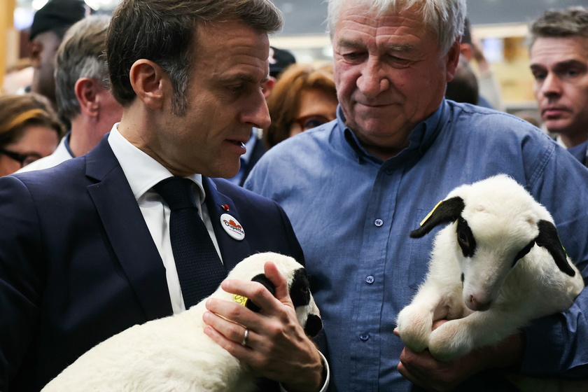 Opening of the annual agricultural fair in Paris