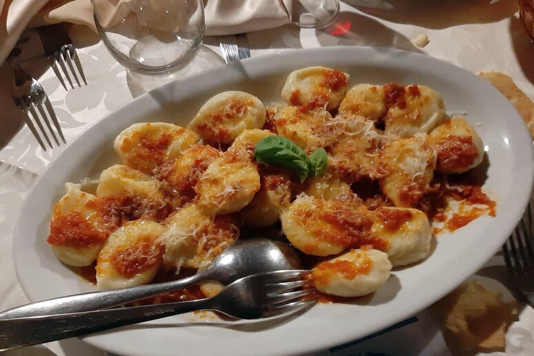 Pronto il primo albero genealogico della pasta ripiena italiana - RIPRODUZIONE RISERVATA