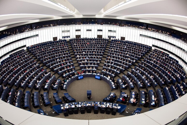 Nel futuro Parlamento europeo ci sono oltre 50 deputati tra i nuovi partiti - RIPRODUZIONE RISERVATA