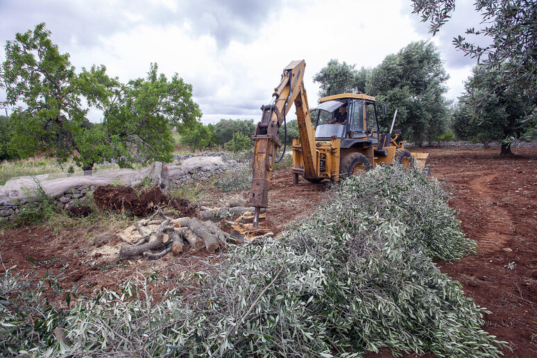 - RIPRODUZIONE RISERVATA