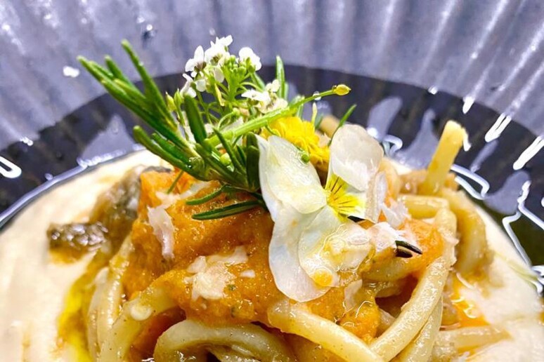 Un piatto gourmet di strozzapreti con baccalà e crema di peperoni - RIPRODUZIONE RISERVATA