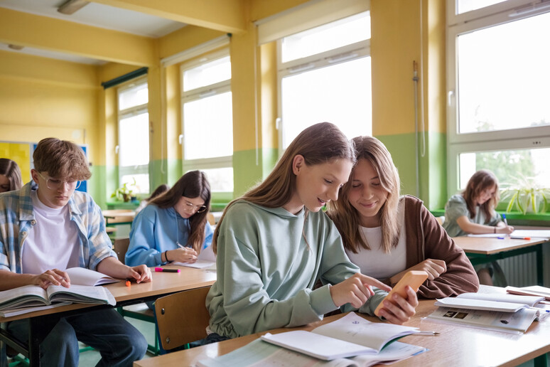 Studenti di scuola superiore durante le lezioni in classe. foto iStock. -     RIPRODUZIONE RISERVATA