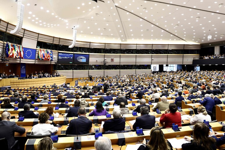 Nel futuro Parlamento europeo oltre 50 deputati tra i nuovi partiti © ANSA/AFP
