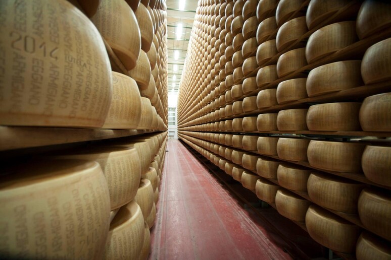 Parmigiano - RIPRODUZIONE RISERVATA