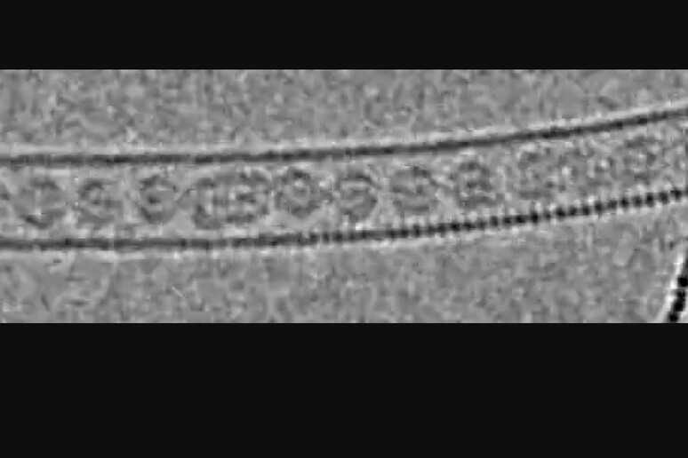 Fotografati per la prima volta atomi di un gas di kripton (fonte: University of Nottingham) -     RIPRODUZIONE RISERVATA