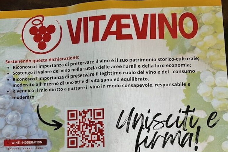 Vitaevino, al via campagna per consumo responsabile - RIPRODUZIONE RISERVATA