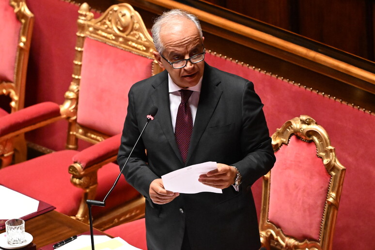 Senato, question time - RIPRODUZIONE RISERVATA