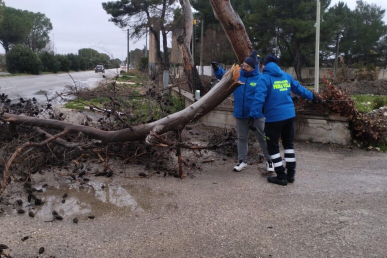 Maltempo a Foggia - RIPRODUZIONE RISERVATA