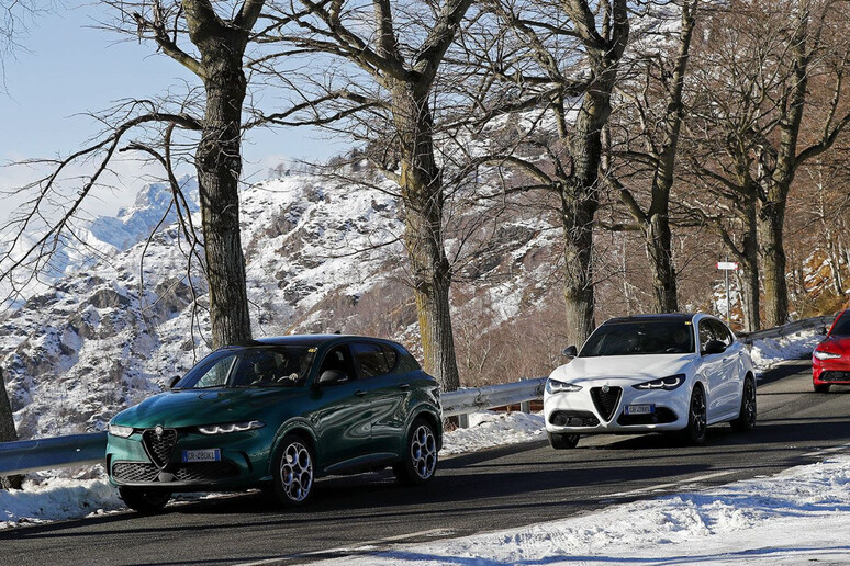 Le Alfa Romeo Tributo Italiano arrivano in concessionaria -     RIPRODUZIONE RISERVATA