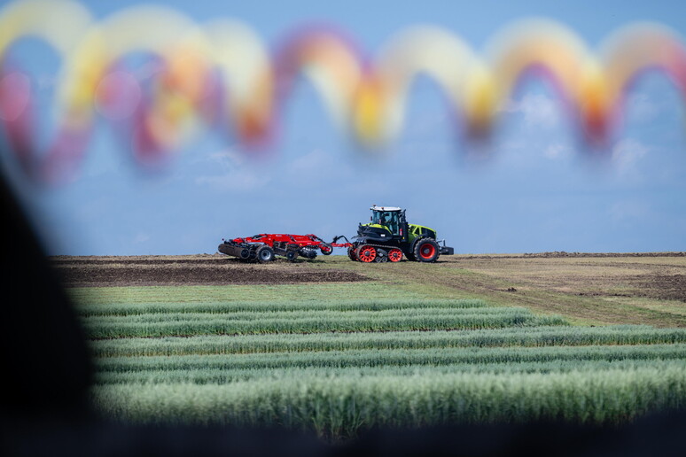 Agricoltori da tutto il mondo a Roma dal 17 al 21 giugno © ANSA/EPA