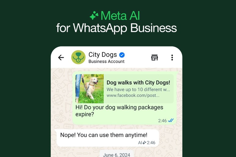 Chatbot e assistenza, Meta porta l 'IA in WhatsApp Business - RIPRODUZIONE RISERVATA