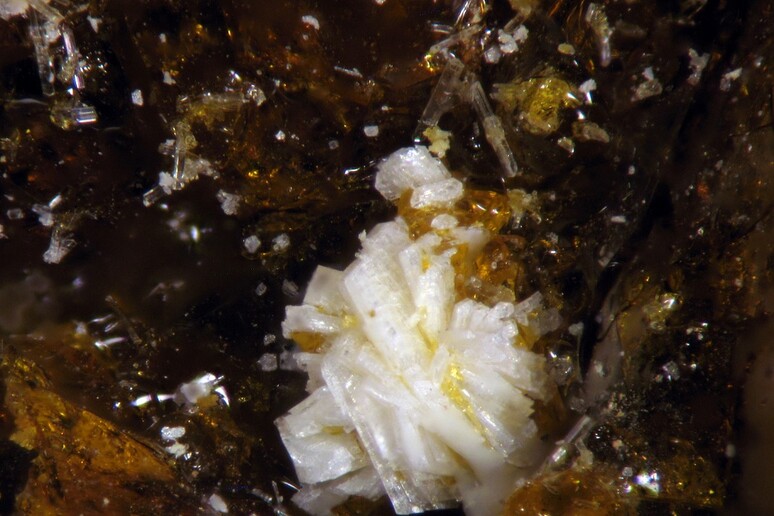 Batoniite, aggregato di cristalli tabulari bianchi associati a un solfato di alluminio e ferro resinoso (fonte: Collezione Museo di Storia Naturale, Università di Pisa. Foto D. Mauro) - RIPRODUZIONE RISERVATA