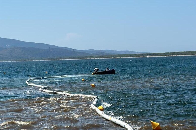 Sindaco  'laguna di Orbetello in miglioramento col maestrale ' - RIPRODUZIONE RISERVATA