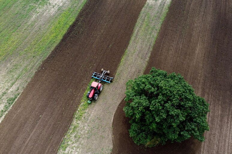 © ANSA/EPA