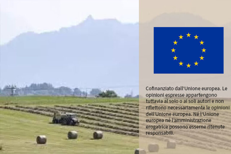 L 'Olanda compensa gli agricoltori con 700 milioni, sì dell 'Ue - RIPRODUZIONE RISERVATA